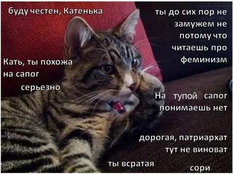 Кошка обвиняет Катеньку