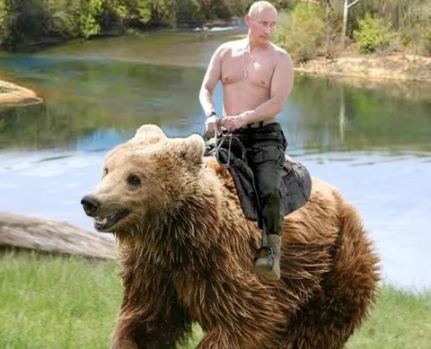 Путин верхом на медведе
