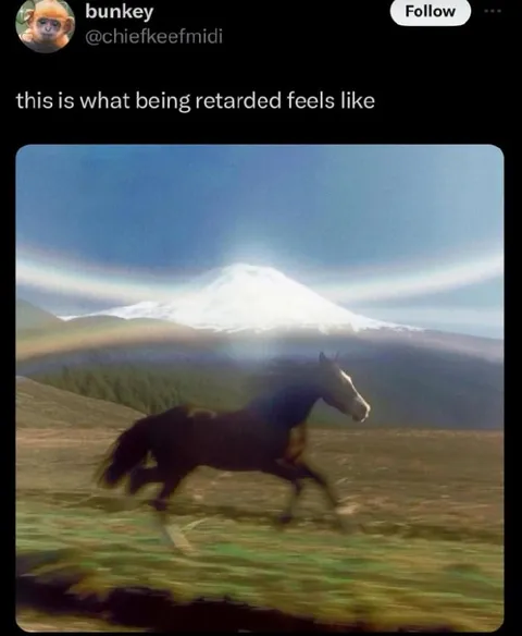 What Being Retarded Feels Like