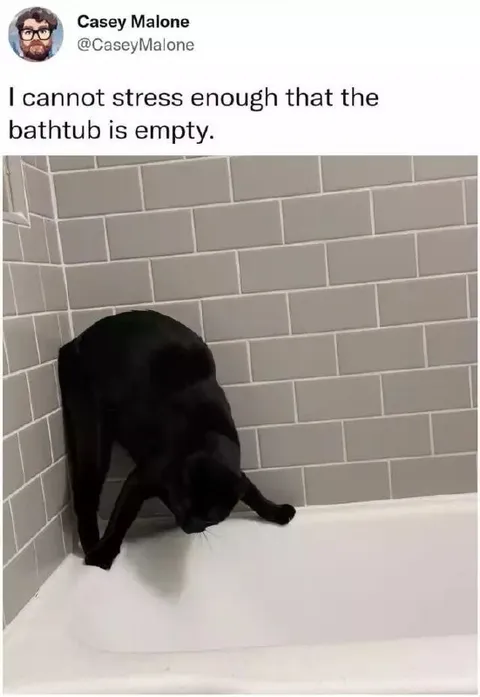 The Bathtub Is Empty