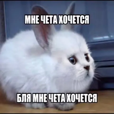 Мне чета хочется