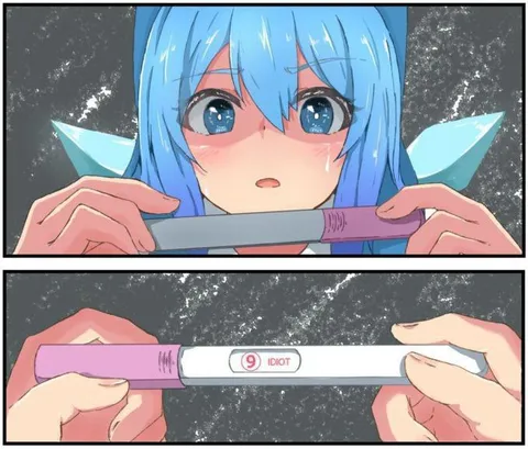 Nine Idiot Pregnancy Test