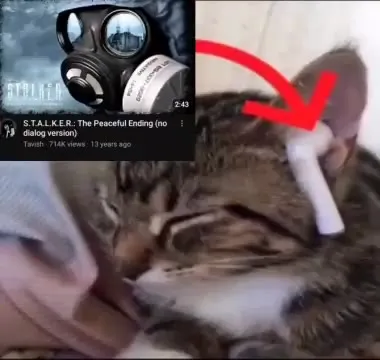 S.T.A.L.K.E.R. Peaceful Cat Ending