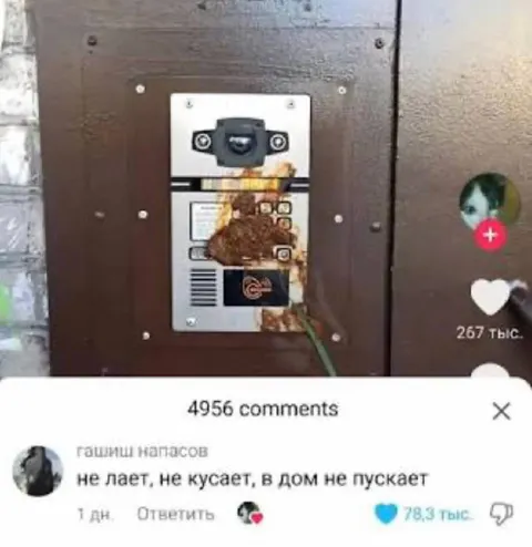 Не лает, не кусает, в дом не пускает