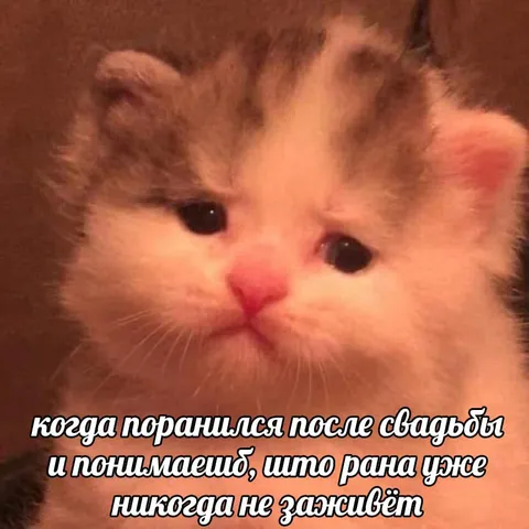 Рана после свадьбы