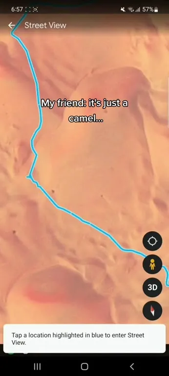 Google Street View Camel Surprise