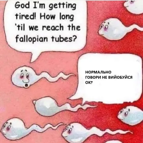 Нормально говори, не выёбуйся