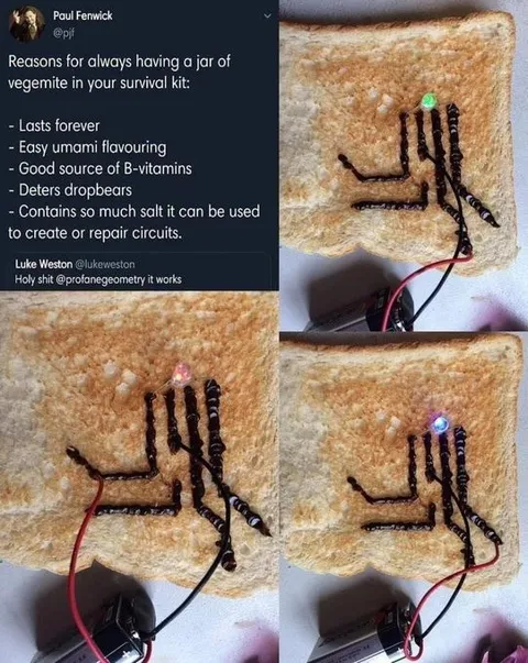 Toast Survival Kit Circuit