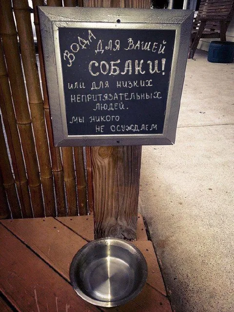 Вода для вашей собаки