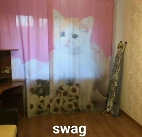 Swag Cat Curtains