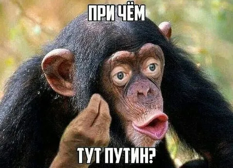 При чём тут Путин?