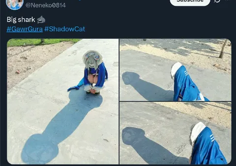 Big Shark Shadow