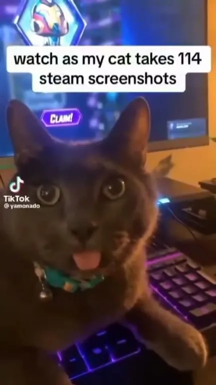 Cat Takes 114 Screenshots