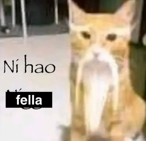 Cat Says Ní háo, Fella
