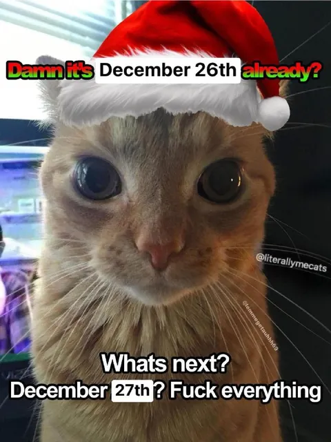 December 26th Christmas Cat