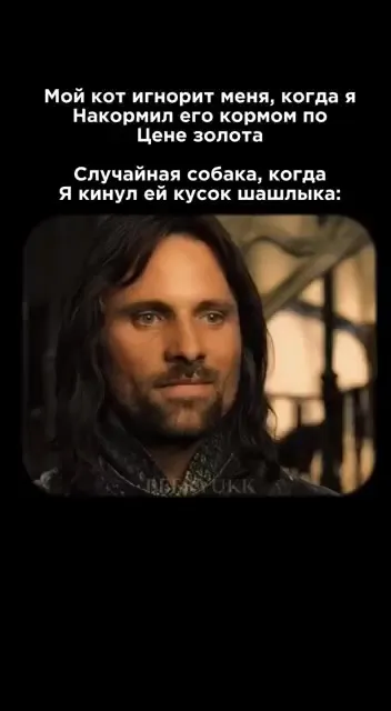 Кот игнорит после дорогого корма