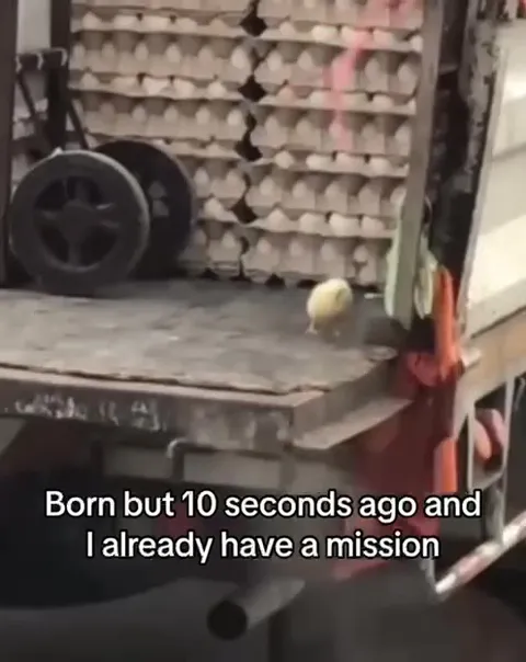 Born With a Mission