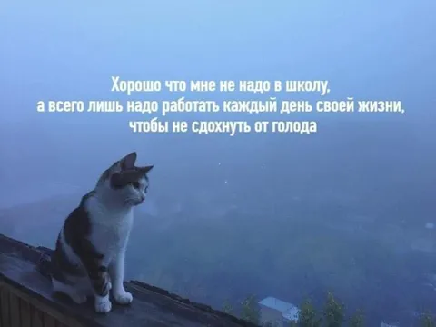 Работа вместо школы