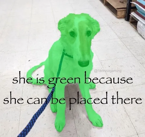 Green Dog Can Be Placed There