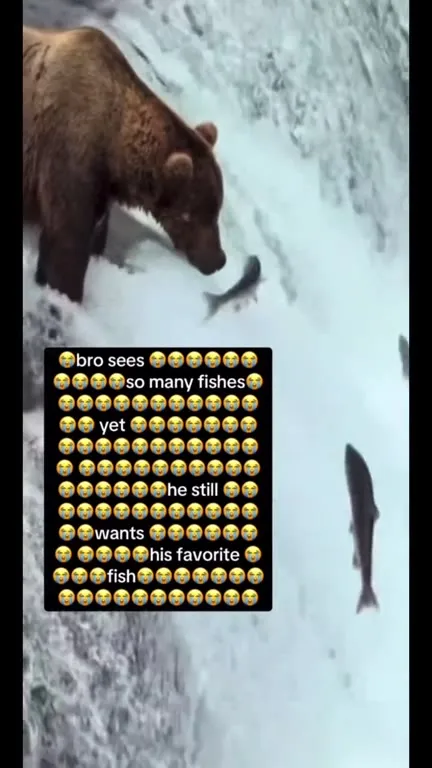 Bear Watches His Favorite Fish