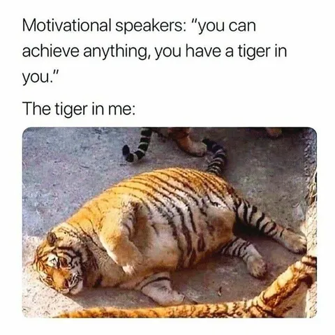 The Tiger in Me