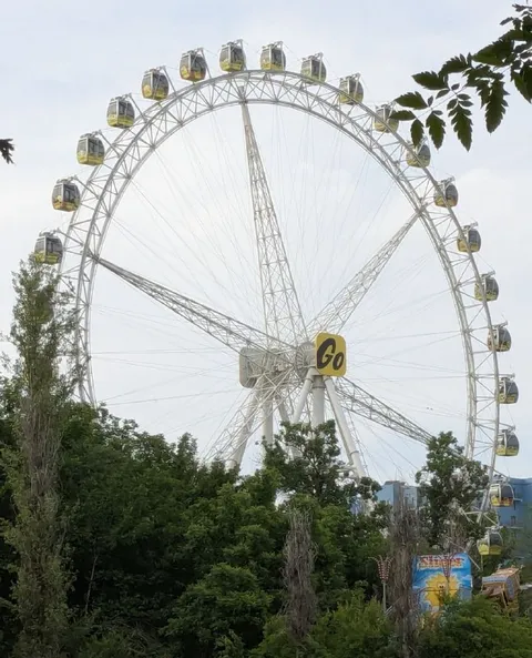 Ferris Wheel Go