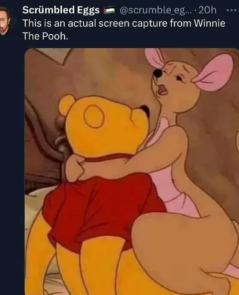 Actual Winnie the Pooh Screen Capture