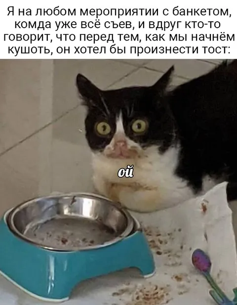 Кот, который хотел произнести тост