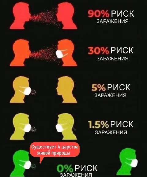 Четыре царства живой природы