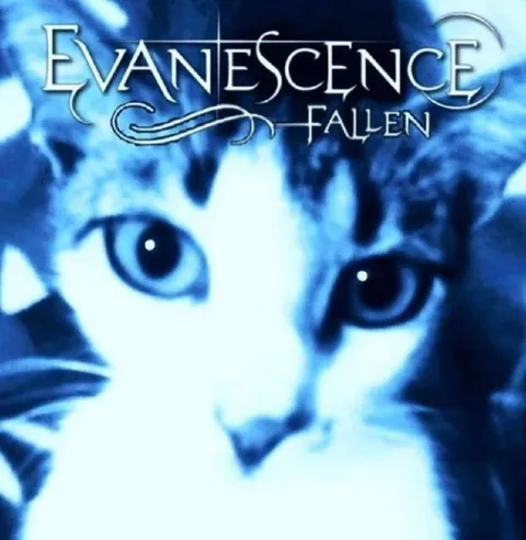 Evanescence Fallen Cat Album Cover