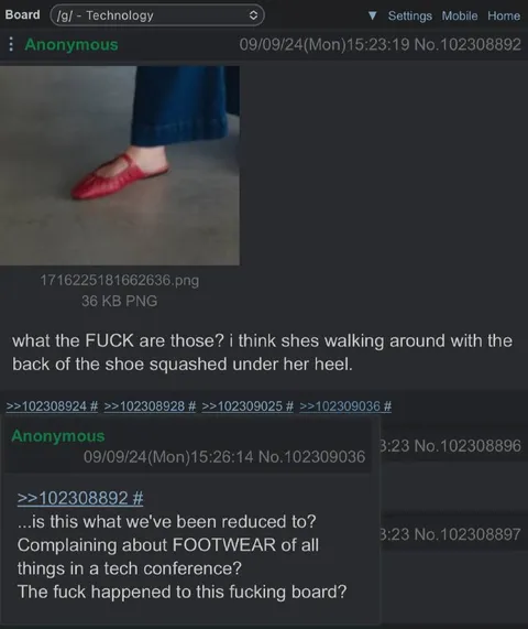 What the FUCK Are Those Shoes