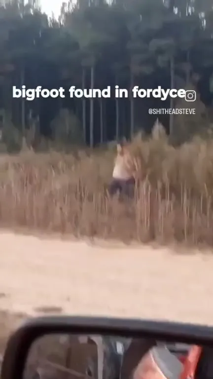 Bigfoot Found in Fordyce