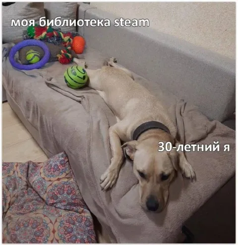 Моя библиотека Steam в 30 лет