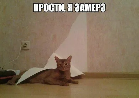 Прости, я замерз