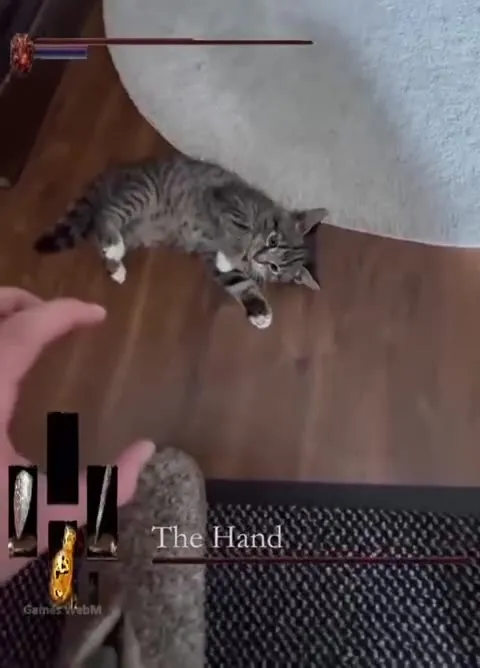 The Hand Defeats the Cat