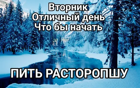 Вторник — отличный день начать расторопшу
