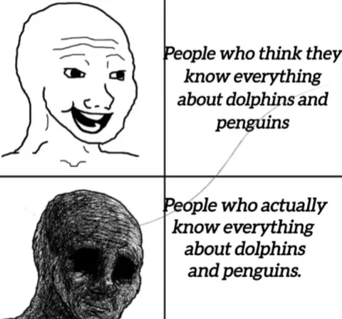 People Who Know Everything About Dolphins