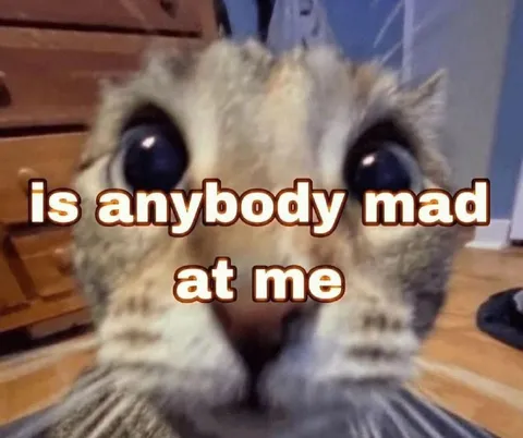 Is Anybody Mad at Me Cat
