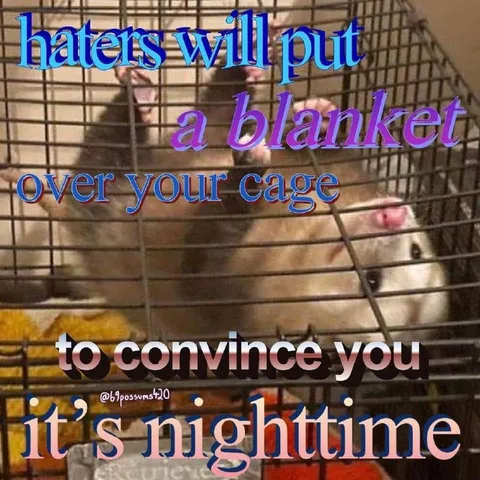 Haters Put a Blanket Over Your Cage
