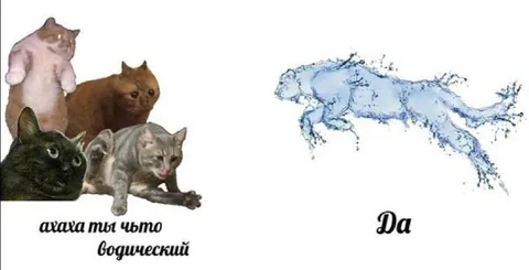 Авава ты что волшебский