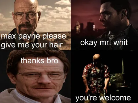 Walter White Gets Max Payne's Hair