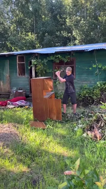 Пианино и жуткий кот