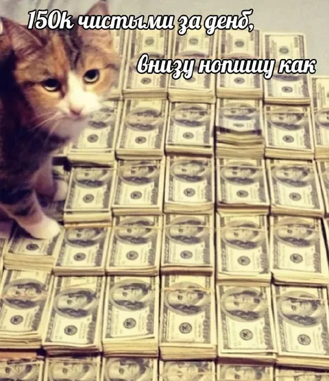 150к чистыми за день