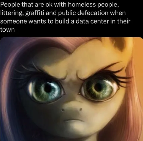 Angry Pony Data Center Reaction