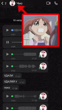 Удали все голосовые сообщения