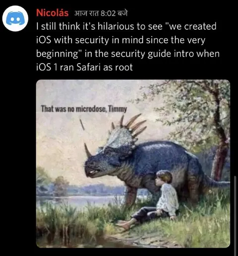 iOS Security Guide Irony