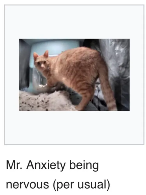 Mr. Anxiety Being Nervous