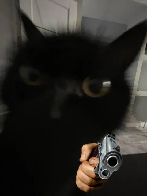 Чёрный кот с пистолетом