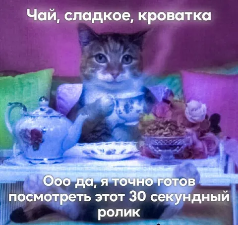Кот готов к тридцатисекундному ролику
