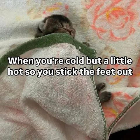 Cold but Feet Too Hot